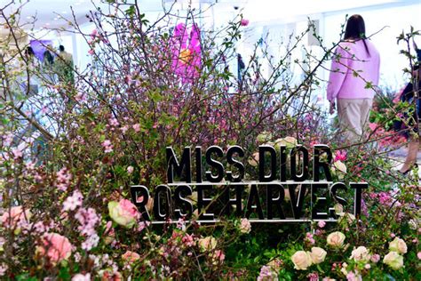 macy miss dior|Macy's Partners With Dior on Annual Flower Show Celebrating Miss Dior.